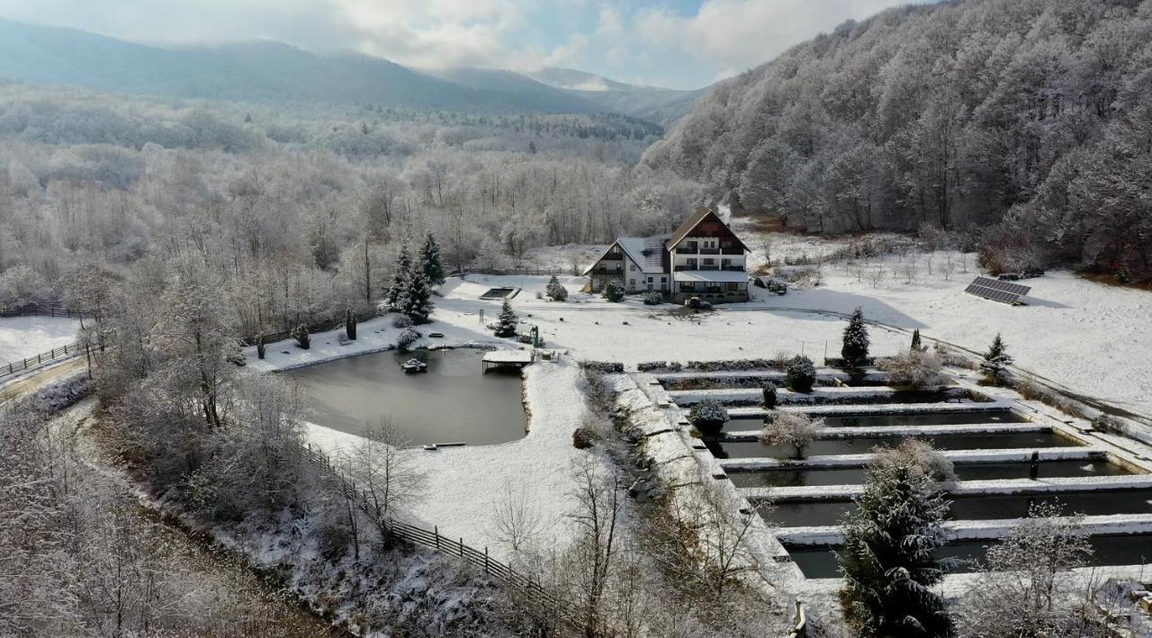 Valea Salbatica Hotel Sinca Noua Exterior photo